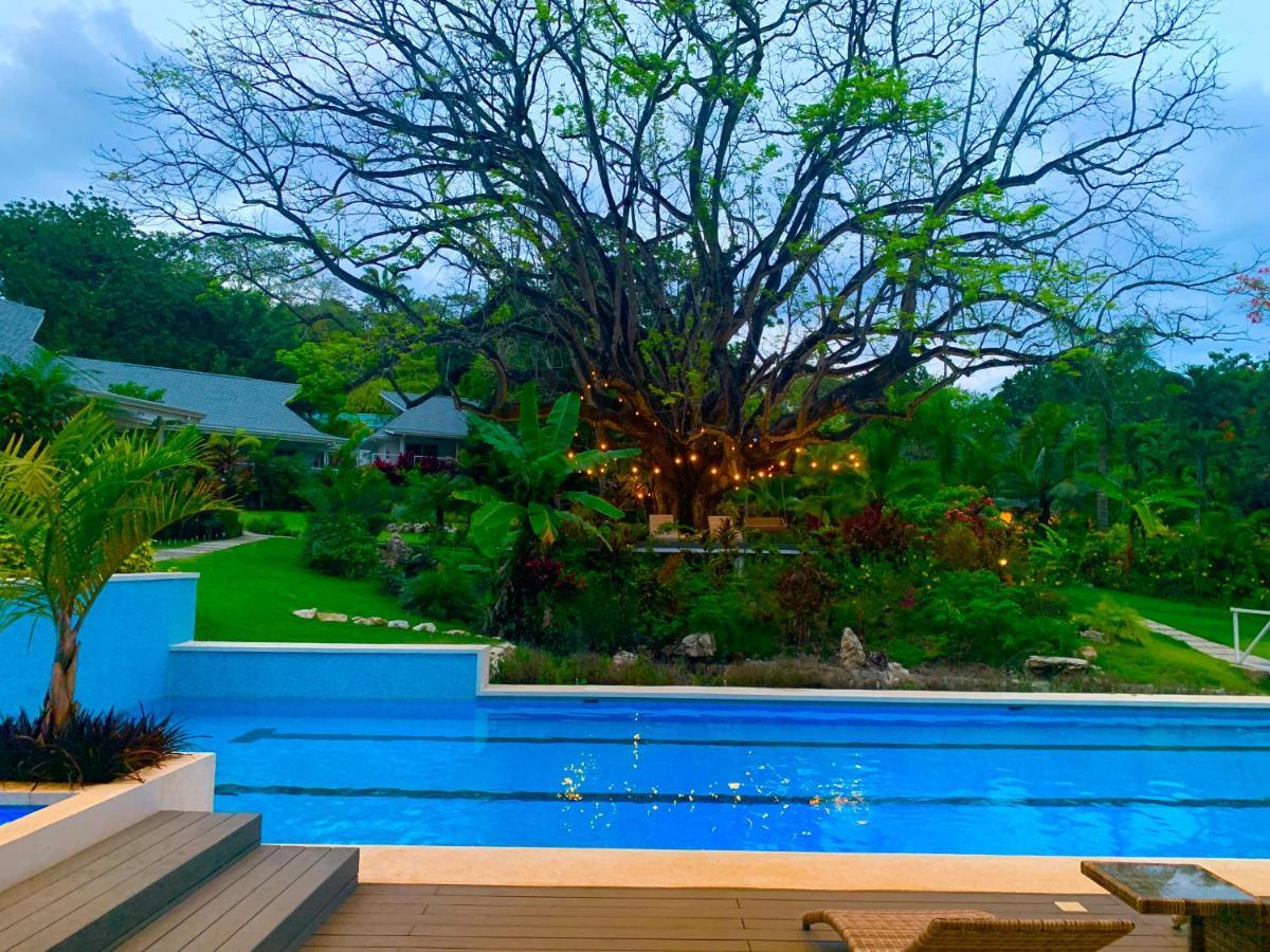 Aves Hotel Montezuma Exterior foto